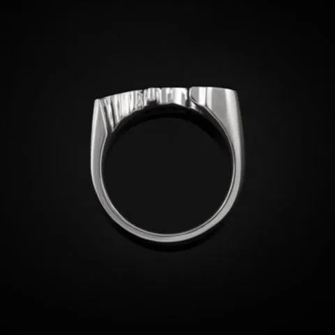 Bruce LaBruce Saint Ring by Jonathan Johnson