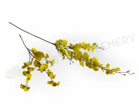 F0420 Oncidium Orchid 47-82cm CLEARANCE STOCK
