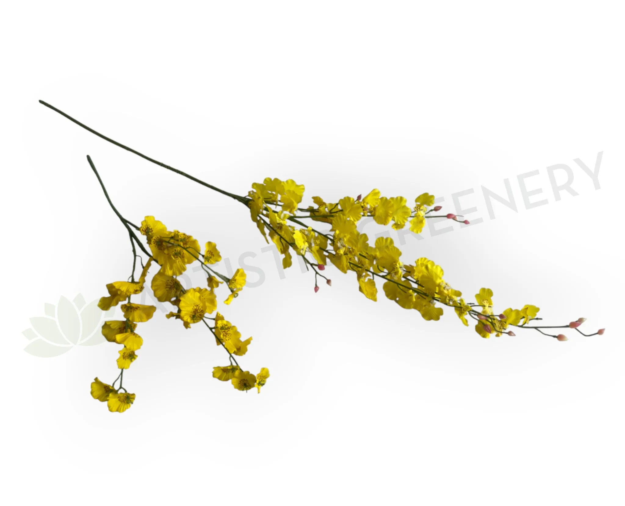 F0420 Oncidium Orchid 47-82cm CLEARANCE STOCK